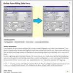 data-entry-portfolio-sample-03-Online-Form-Filling-Data-Entry.jpg