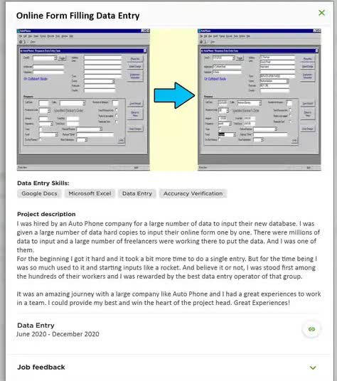 data-entry-portfolio-sample-03-Online-Form-Filling-Data-Entry.jpg